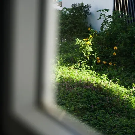 Mon Bac Home Đà Lạt Extérieur photo